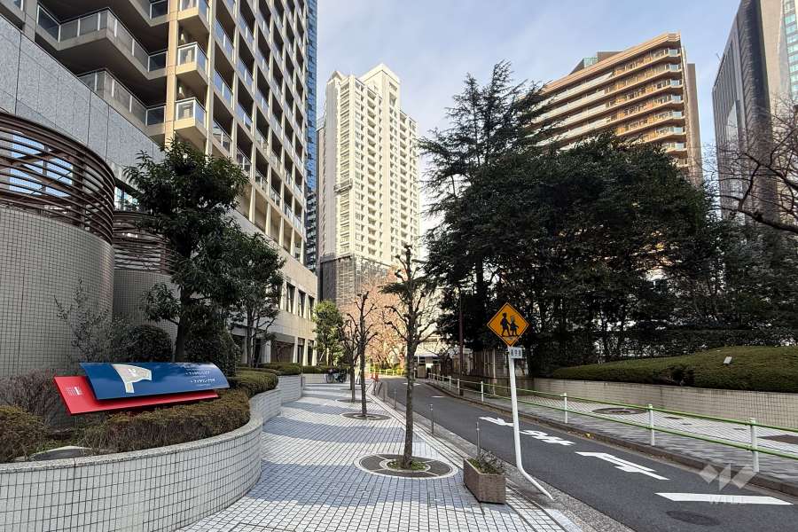敷地の東側前面道路（南側から）