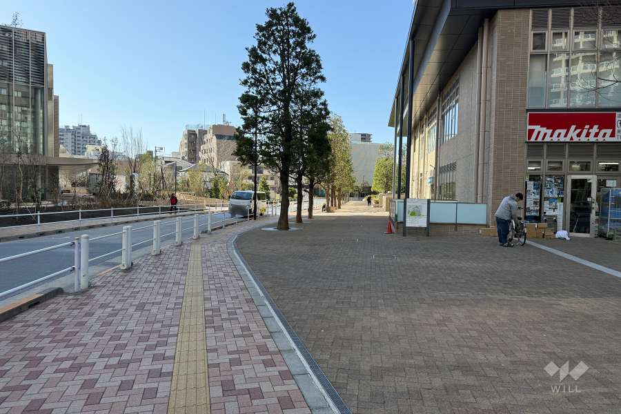 敷地の東側前面道路（北側から）