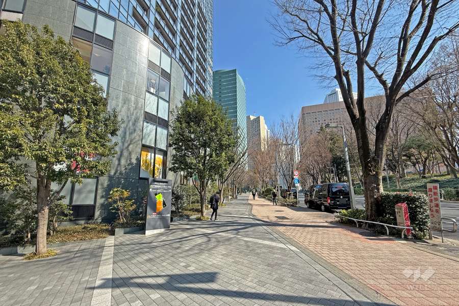 敷地の南側前面道路は「国府道（北通り）」です（西側から）。