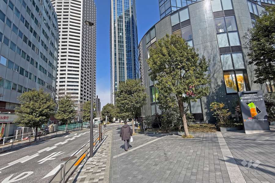 敷地の北西側前面道路（南西側から）