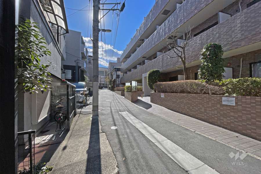 敷地の東側前面道路（北側から）