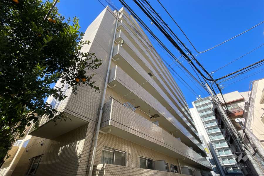 パシフィック早稲田の外観（南東側から）