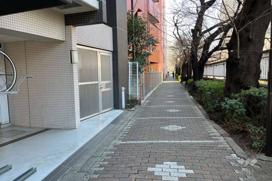 敷地北側の前面道路