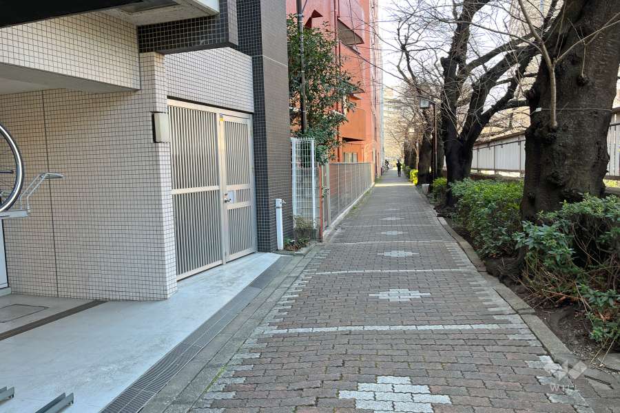 敷地の北側遊歩道（東側から）