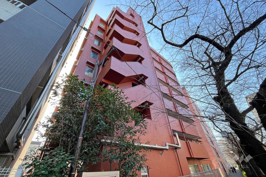 トーア西早稲田マンションの外観（北東側から）