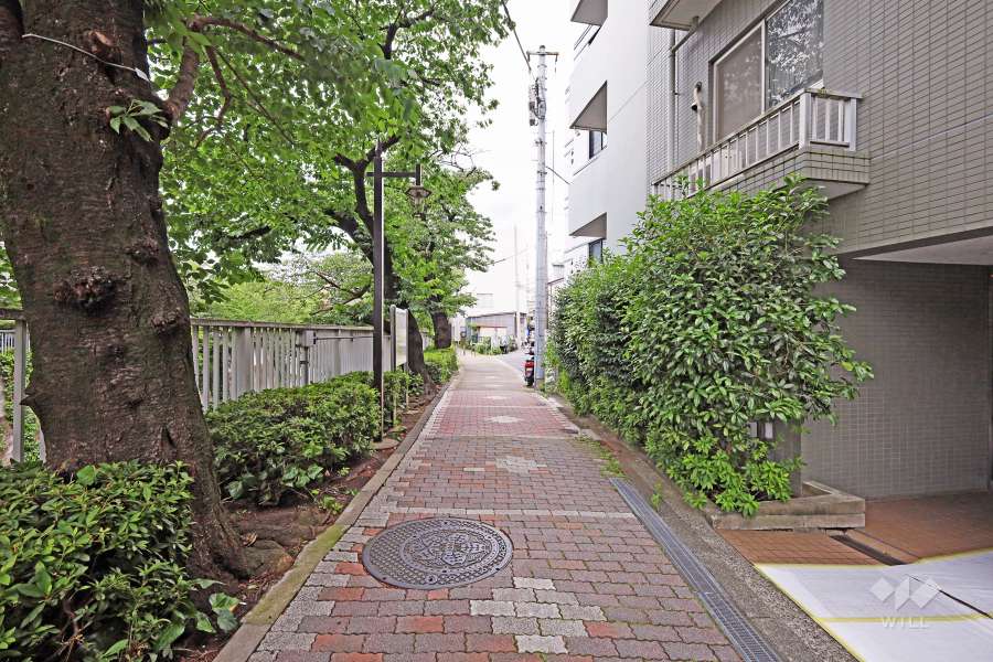 敷地北側の前面道路(西側から)