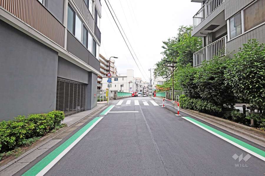 敷地西側の前面道路(南側から)