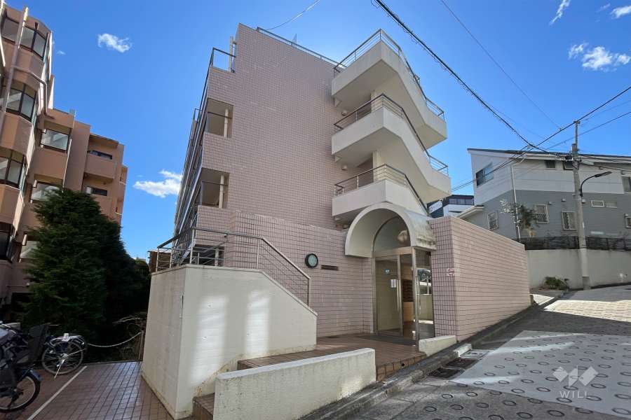 早稲田ヒルサイドハイツの外観（北側から）