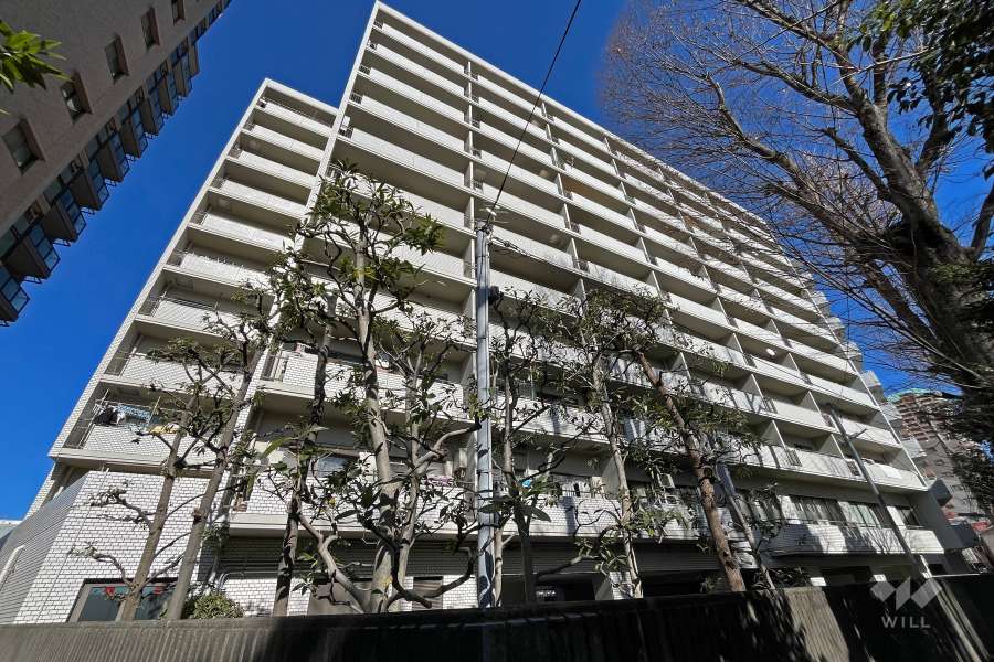 サンファミール西早稲田の外観（南西側から）