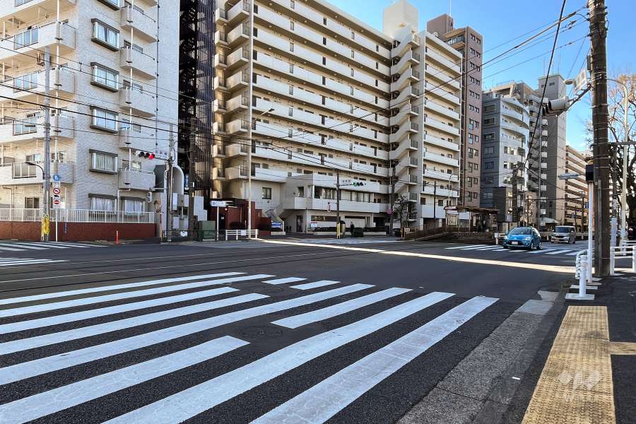 敷地北東側の前面道路（南東側から）