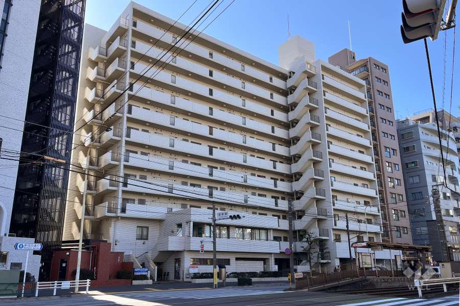 サンファミール西早稲田の外観（北東側から）