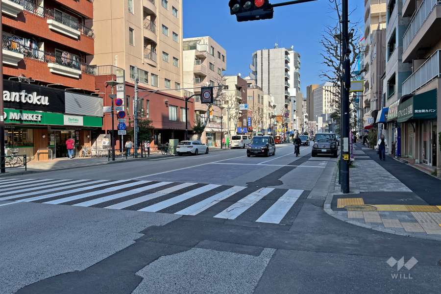 敷地南側の前面道路（西側から）