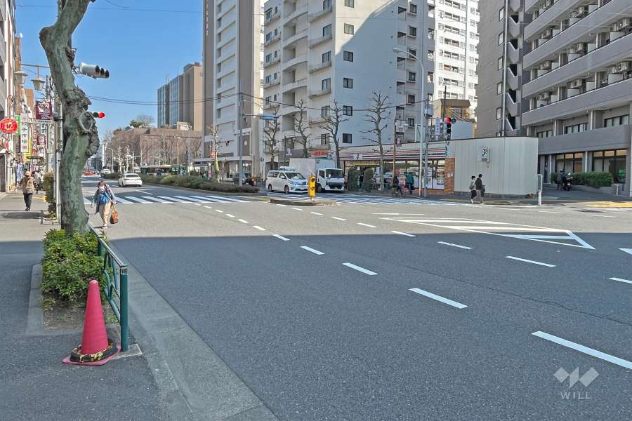 敷地の北側前面道路新目白通り（都道8号線）です（東側から）。