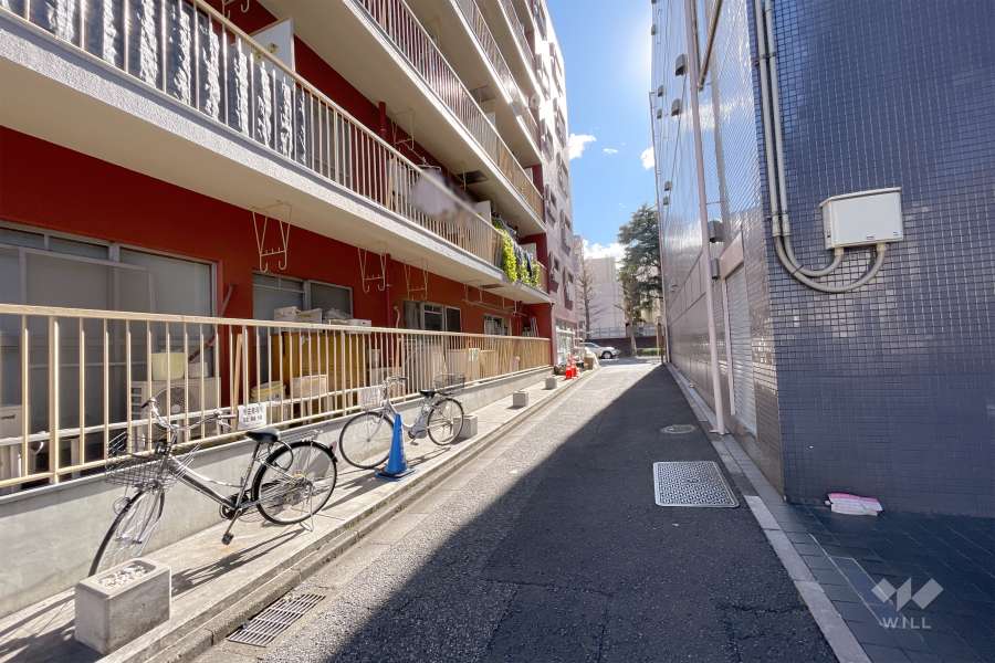敷地西側の前面道路（北側から）