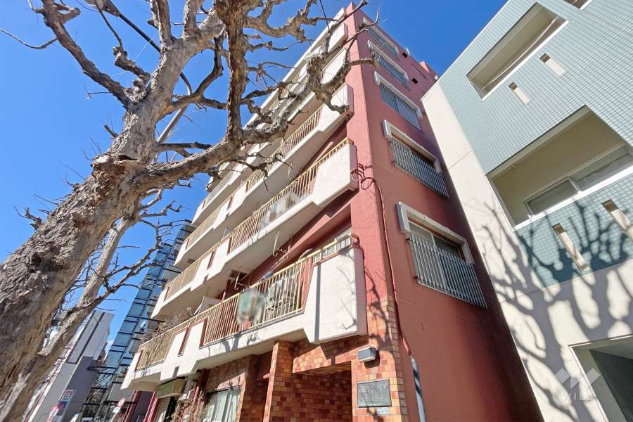 早稲田ガーデンハイツの外観（南東側から）