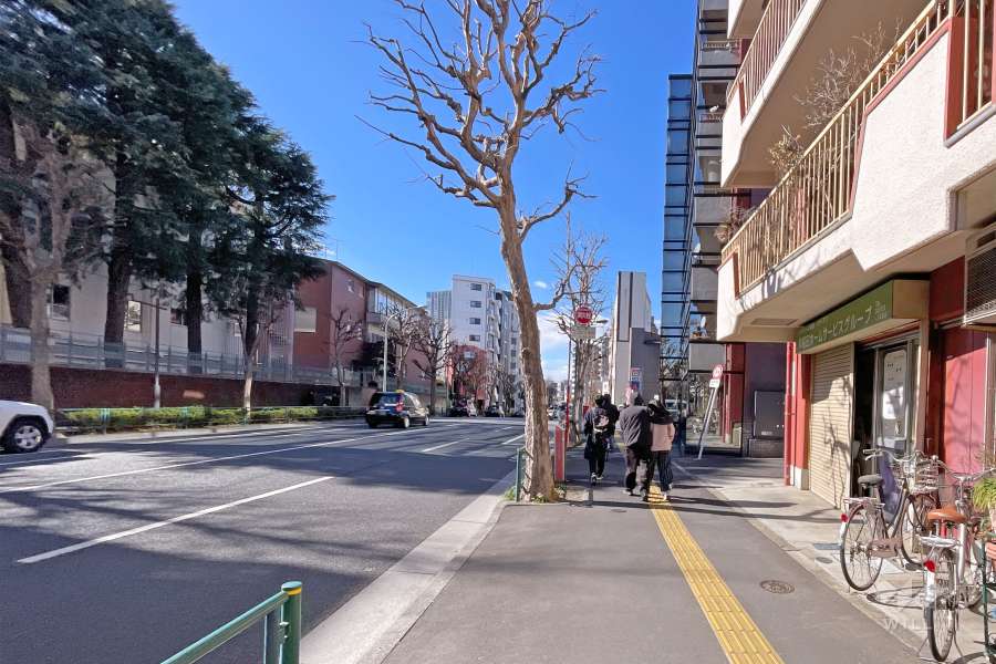 敷地南側の前面道路（東側から）