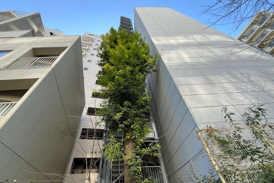 朝日シティパリオ西早稲田館の外観（北東側から）