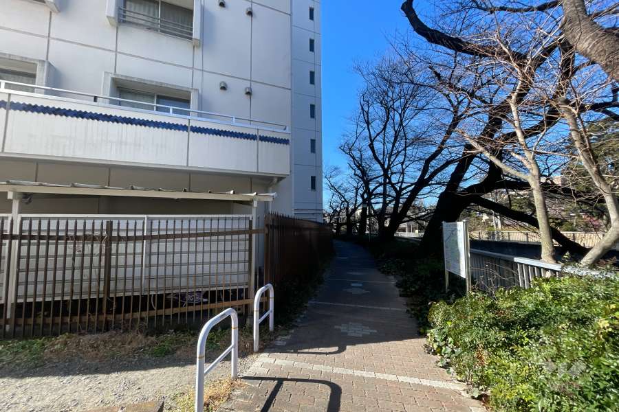 敷地北東側の通路（南東側から）