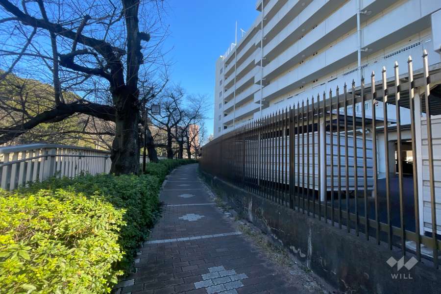 敷地の北側前面通路（西側から）