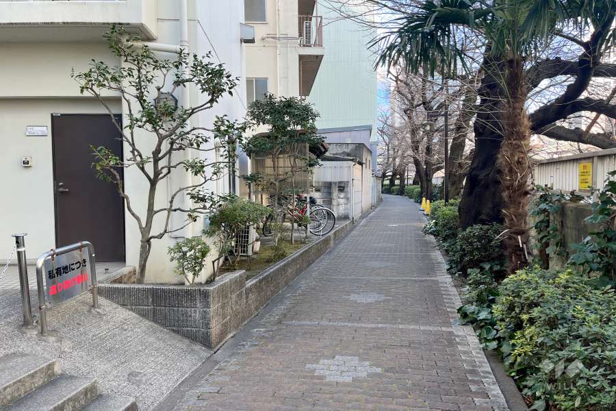 敷地北東側の前面道路