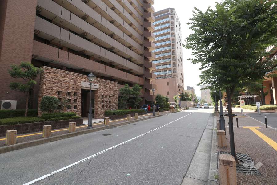 敷地北側の前面道路（観光プロムナード）