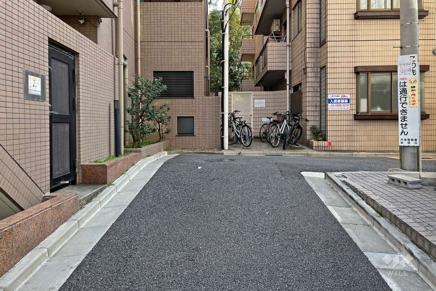 敷地の西側前面道路（北側から）