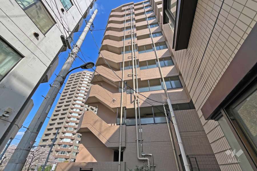 ネオマイム西早稲田パークスの外観（南西側から）