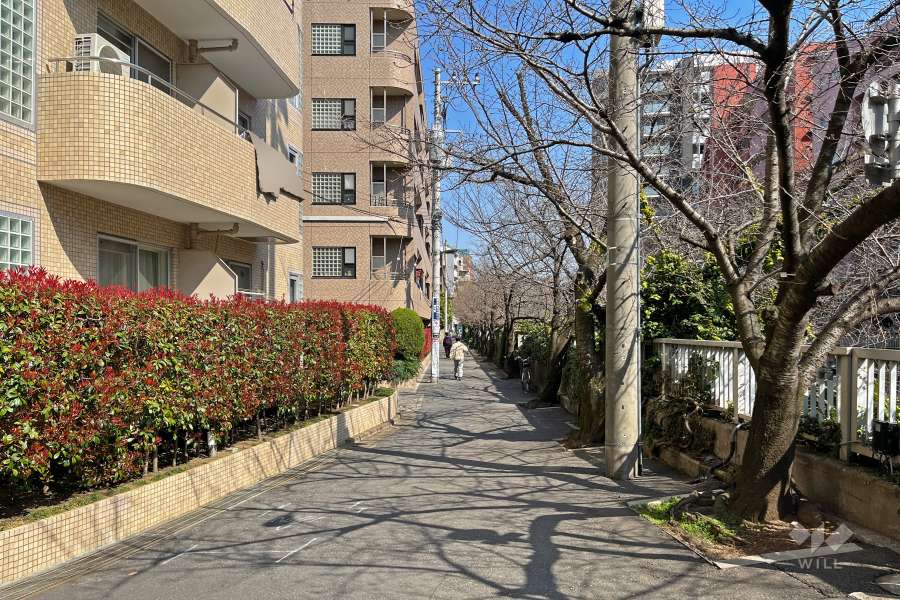 敷地の南側前面道路は神田川沿いです（西側から）。