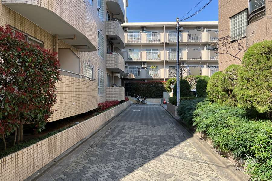 敷地東側の通路（南側から）