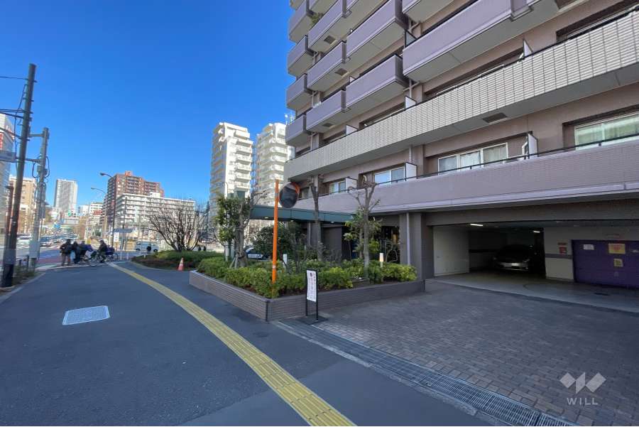 敷地の西側前面道路（南側から）