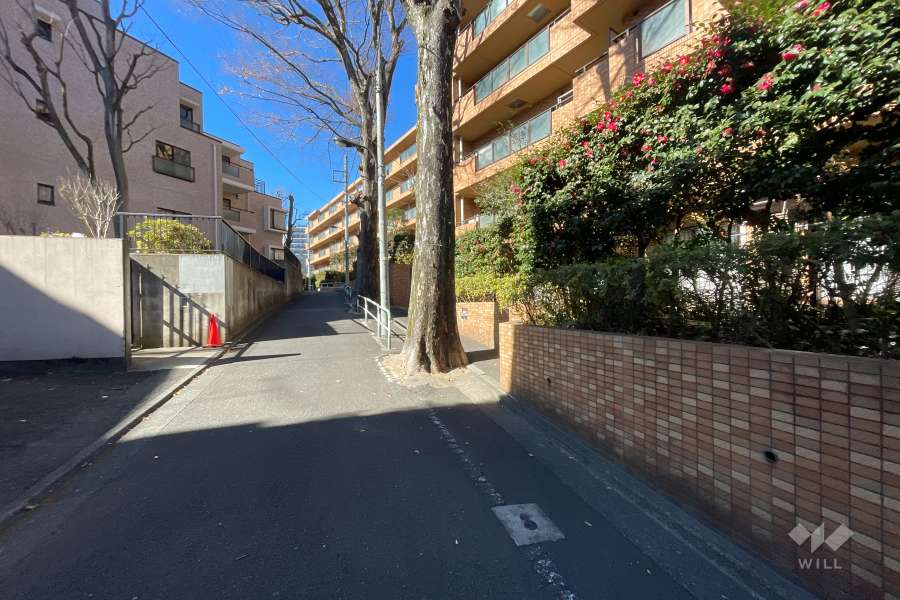 敷地南側の前面道路（東側から）