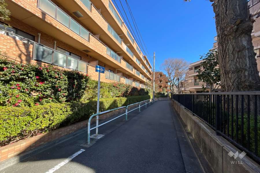 敷地南側の前面道路（西側から）