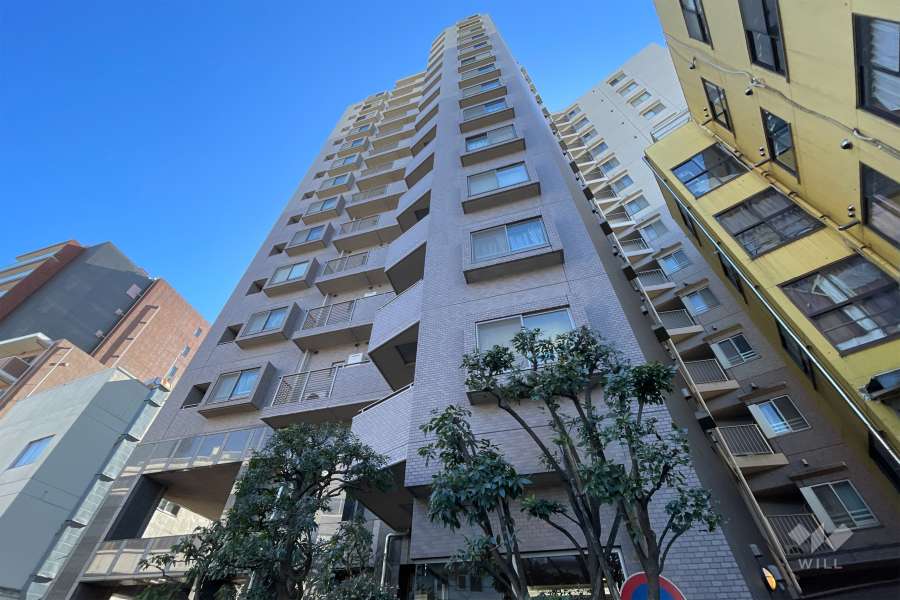 ルイシャトレ早稲田の外観（北側から）
