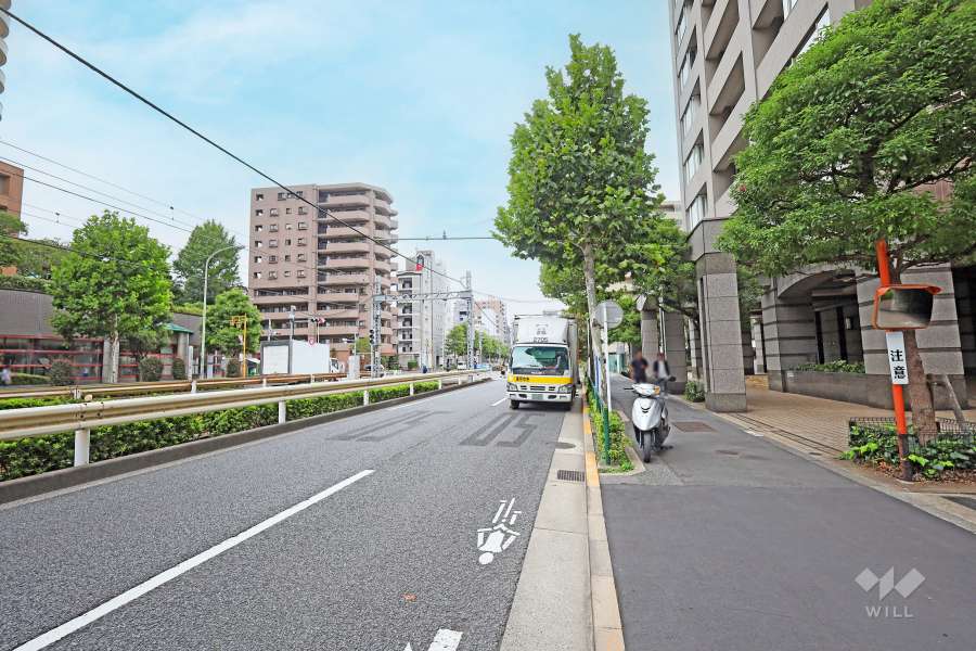 敷地南側の前面道路（東側から）