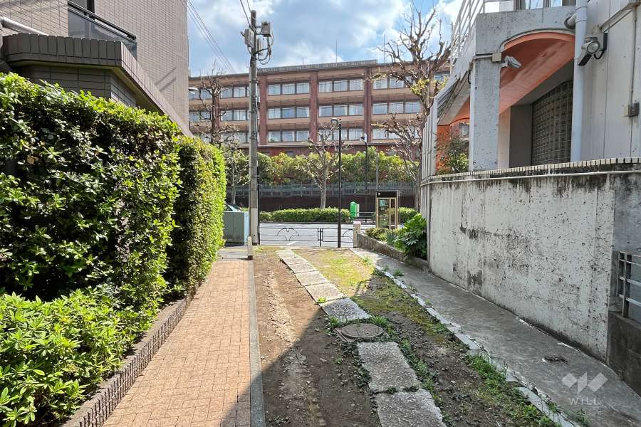敷地西側の前面道路（北側から）