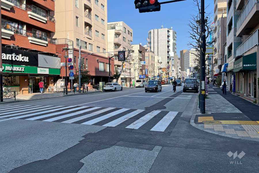 敷地の南側前面道路（西側から）
