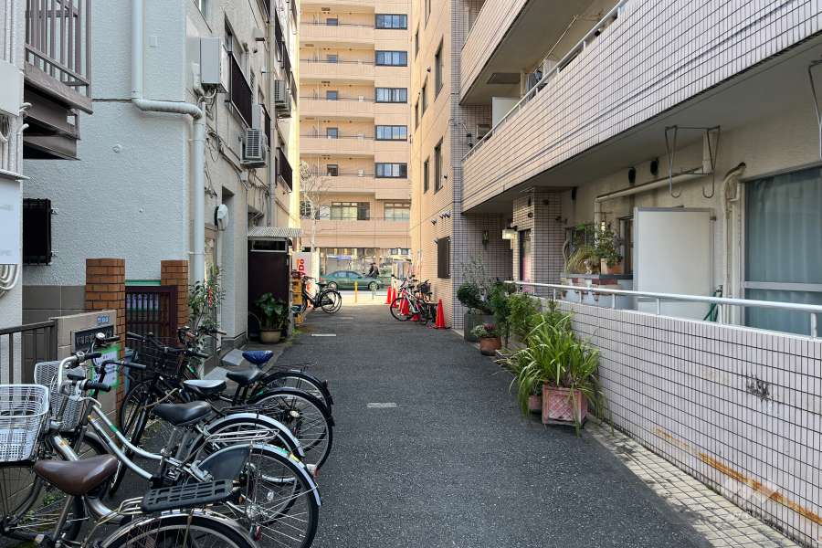 敷地の東側前面道路（北側から）