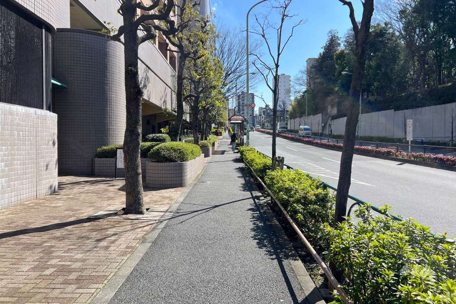 敷地西側の前面道路（北側から）