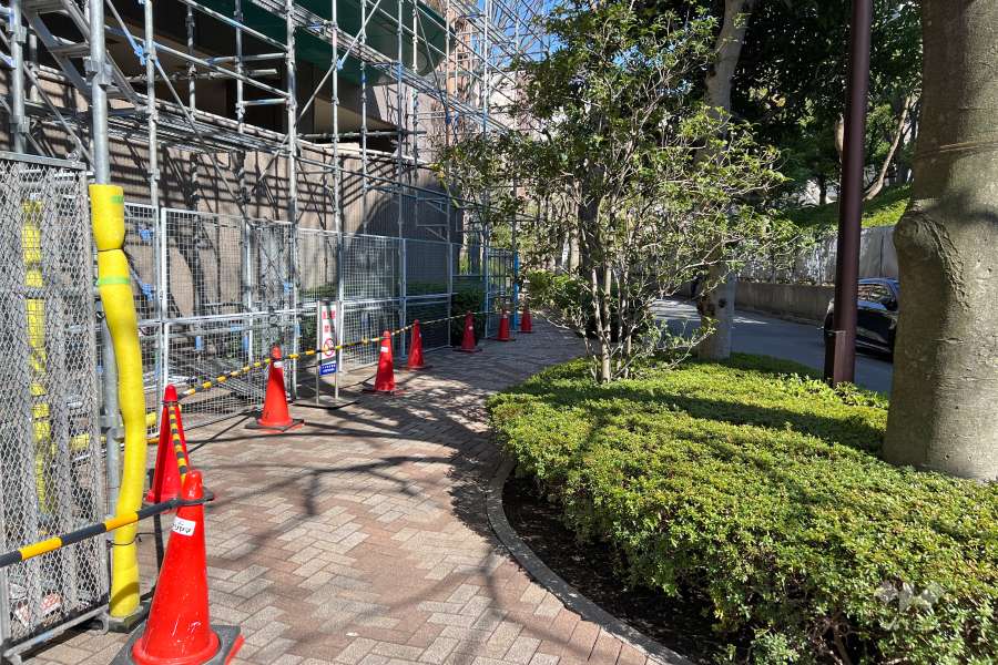 敷地南側の前面道路（西側から）