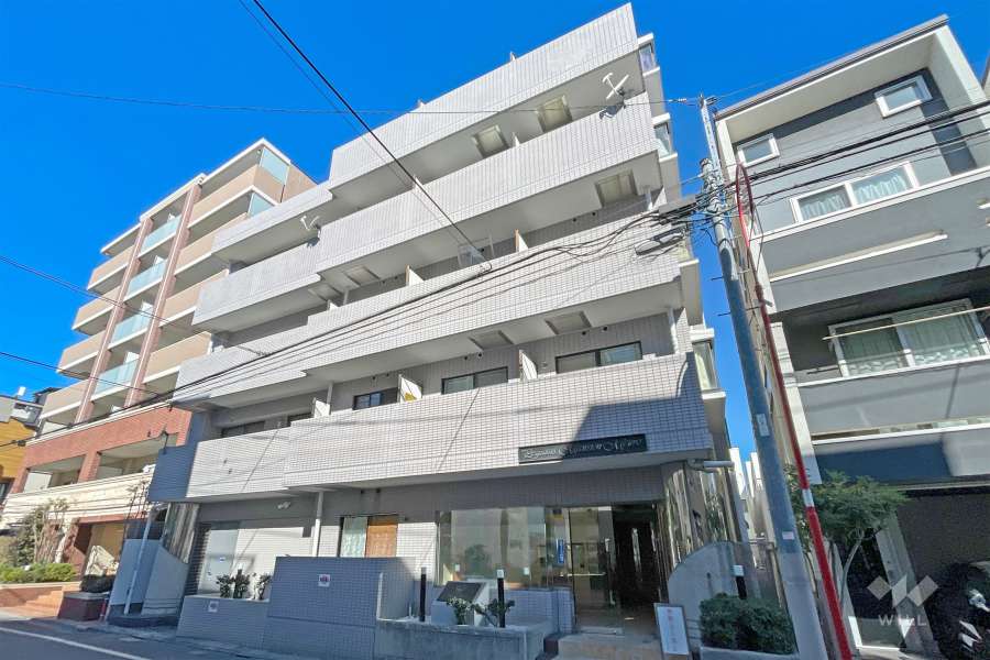 ペガサスマンション目白の外観（南東側から）