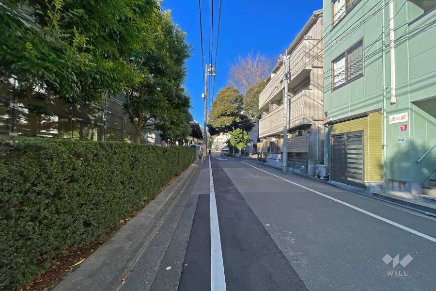 敷地の南側前面道路（西側から）