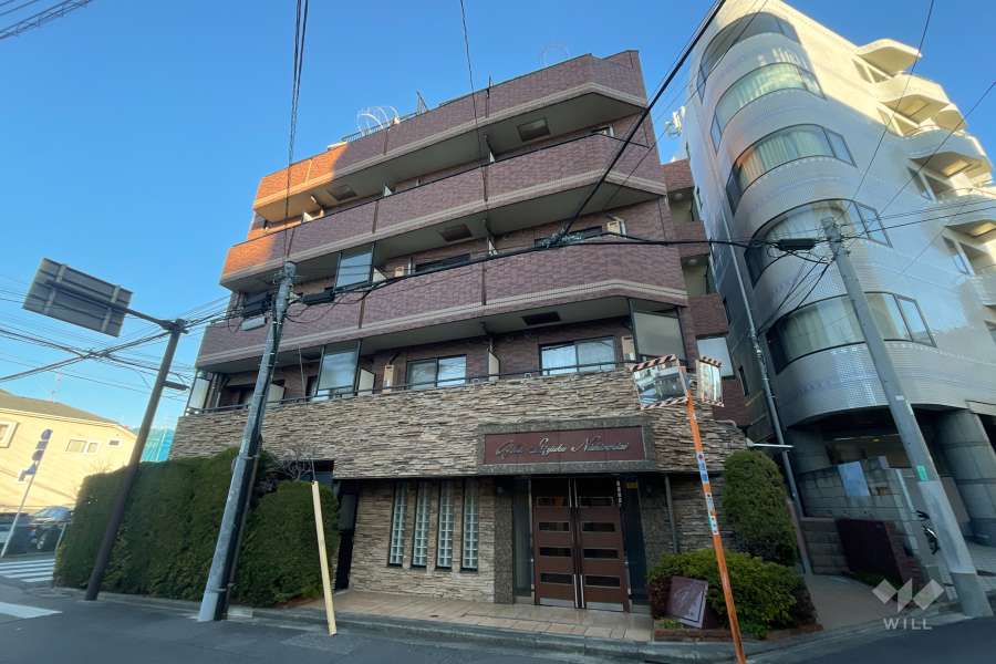 ガーラ新宿西落合の外観（南東側から）