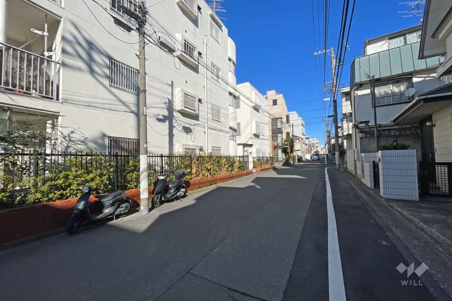 敷地の東側前面道路（南側から）