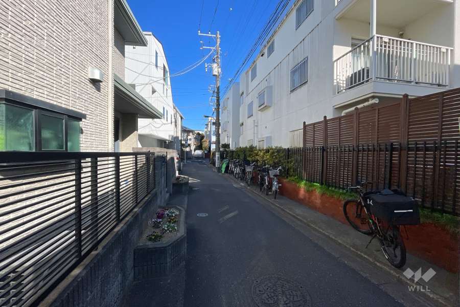 敷地の西側前面道路（南側から）