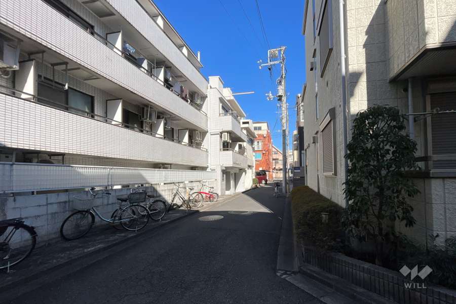 敷地の北側前面道路（東側から）