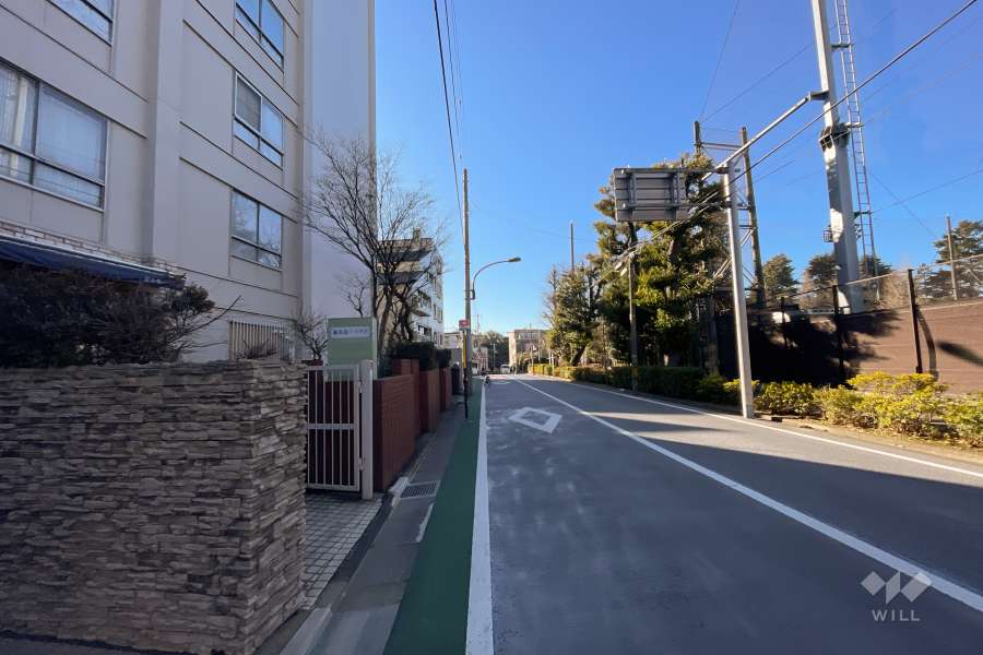 敷地西側の前面道路（北側から）