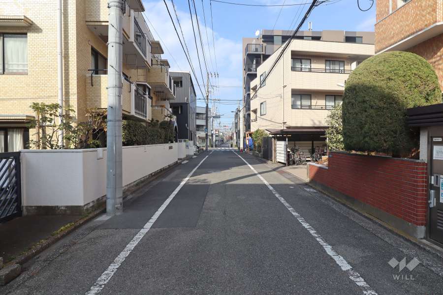 敷地東側の前面道路　