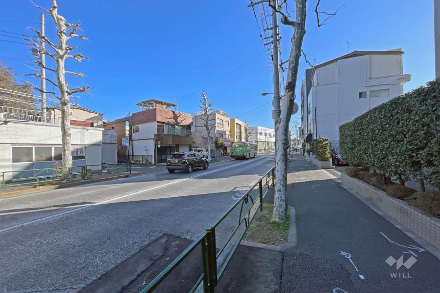 敷地の北側前面道路（西側から）