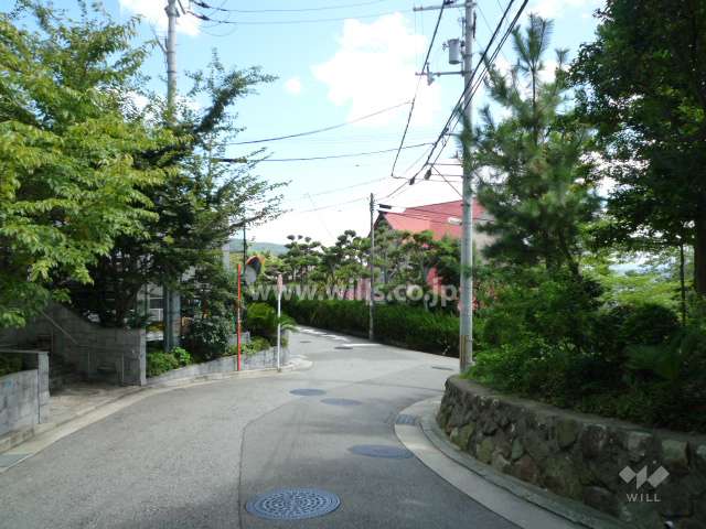 敷地南側の前面道路。周辺は敷地の広い一戸建てが多く立ち並ぶ、緑豊かな住宅地。