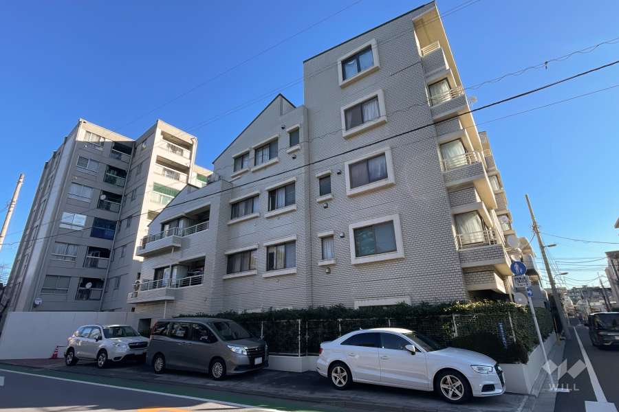 哲学堂リリエンハイムの外観（南西側から）